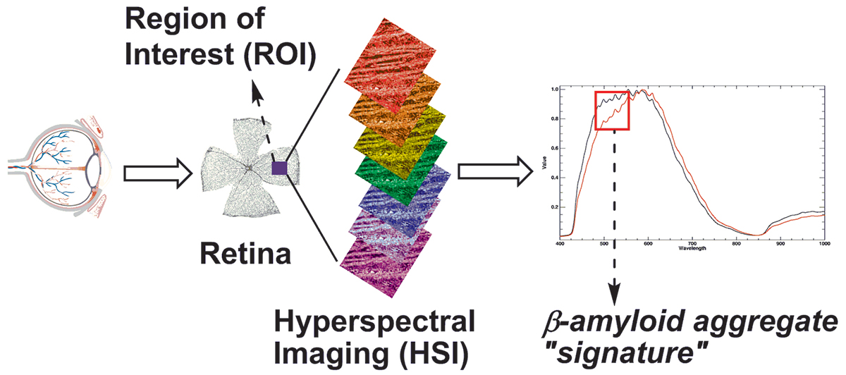 CDD hyperspectral imaging HSI