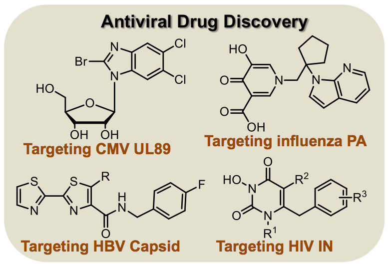 Antiviral Drug Discovery diagram