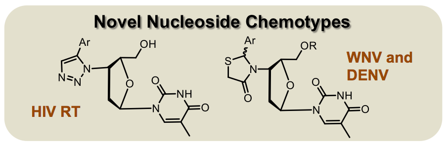 Novel Nucleoside Chemotypes diagram