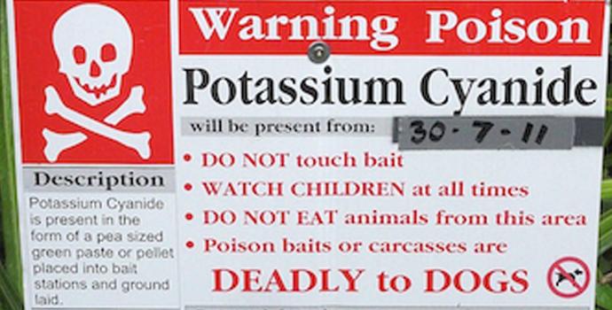 Warning poison sign
